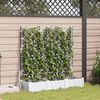 Product Thumbnail Image 2 of 8