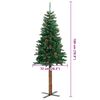 Product Thumbnail Image 13 of 13