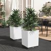 Product Thumbnail Image 2 of 8