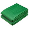 vidaXL Tarpaulin with Eyelets 2 pcs Green 3 x 5 m 260 gsm PE