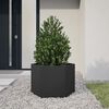 Product Thumbnail Image 2 of 10