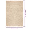 vidaXL Rug ZIZUR Beige 200x290 cm Jute Look Indoor and Outdoor