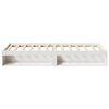 vidaXL Day Bed without Mattress White 100x200 cm Solid Wood Pine