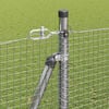 Product Thumbnail Image 5 of 17