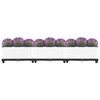 vidaXL Raised Bed 120x40x23 cm Polypropylene