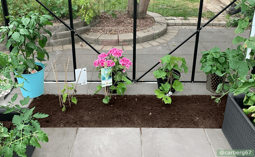 Spring gardening tips & decorating ideas