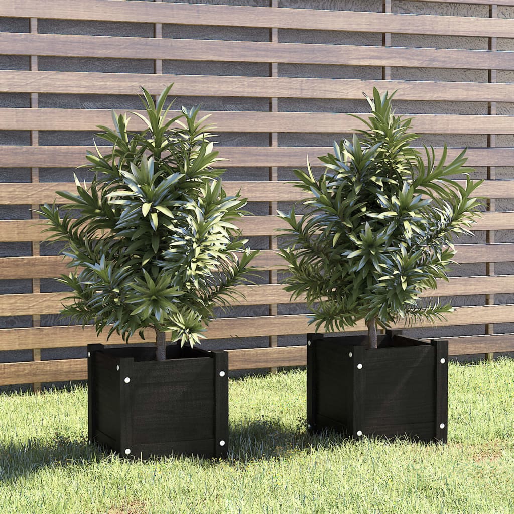 vidaXL Garden Planters 2 pcs Black 31x31x31 cm Solid Pinewood