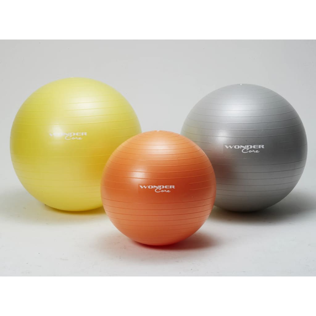 Wonder Core Anti-Burst Gym Ball 75 cm Grey