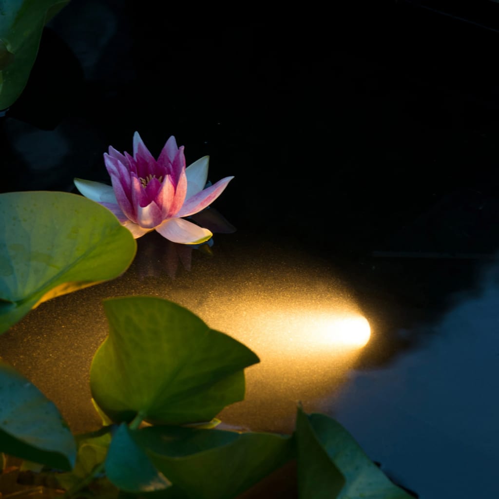 Ubbink Underwater Pond Lighting LED Aqua Spotlight 6W