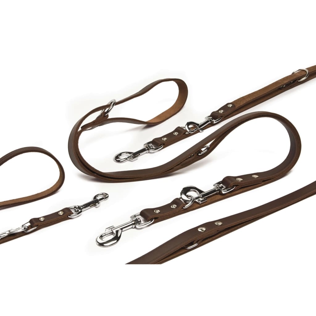 Beeztees Training Leash Leather Brown 200x1.2 cm 736401