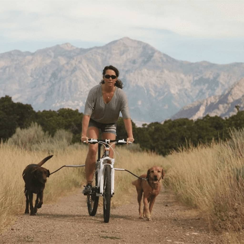 PetEgo Universal Bicycle Dog Leash Cycleash 85 cm vidaXL