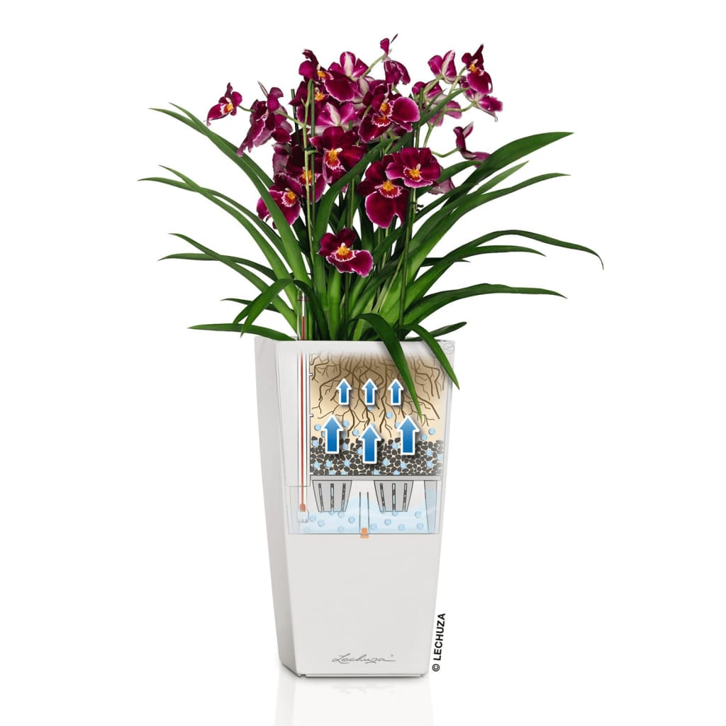 LECHUZA Planter Cubico 22 ALL-IN-ONE High-gloss White