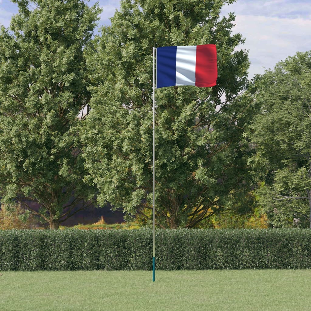 vidaXL France Flag and Pole 5.55 m Aluminium