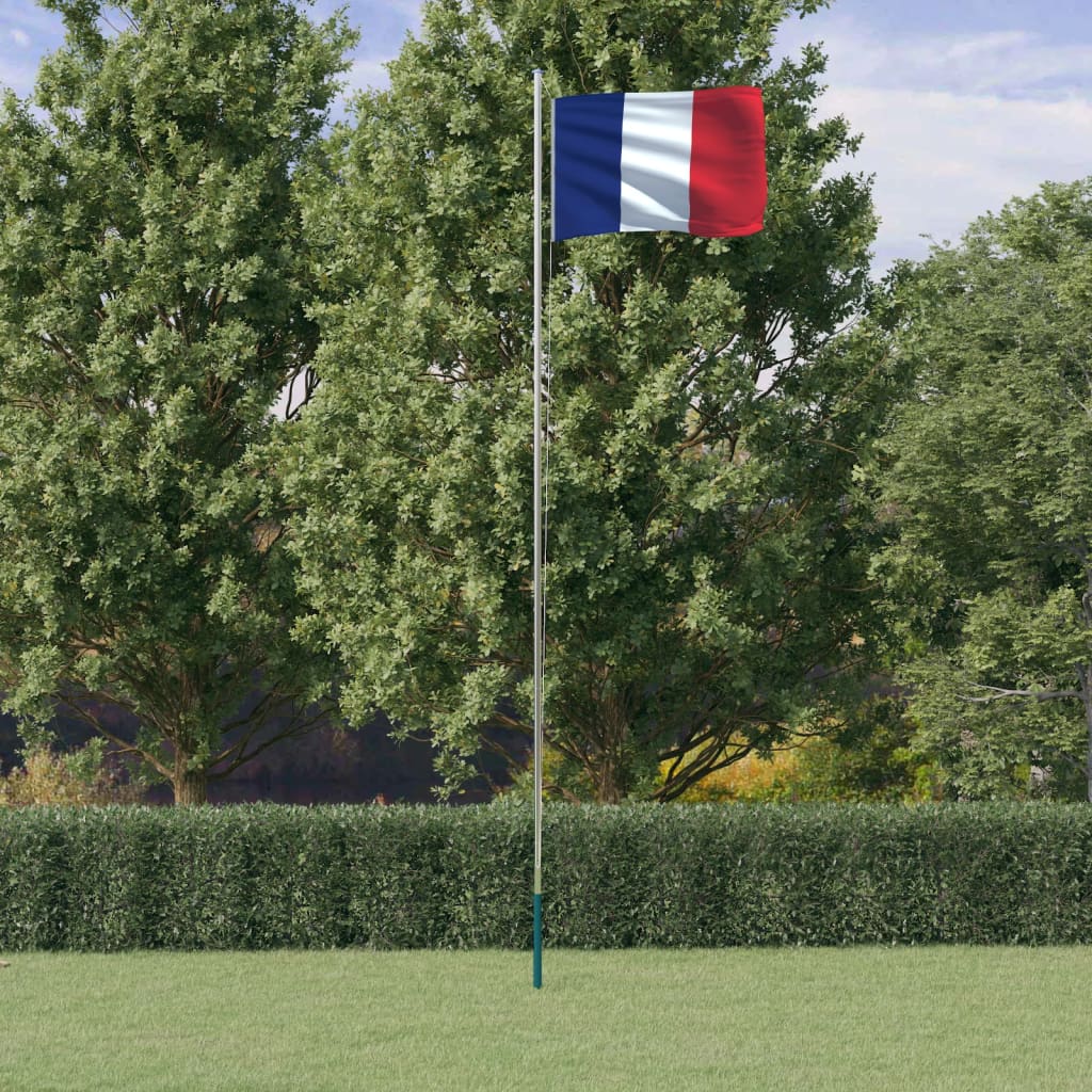 vidaXL France Flag and Pole 6.23 m Aluminium