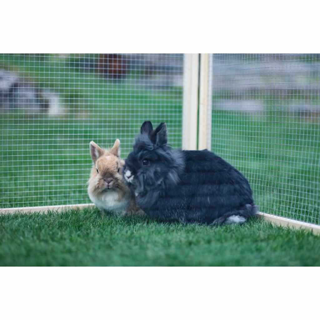 Kerbl Outdoor Pet Enclosure Vario Wood Brown 84399 vidaXL