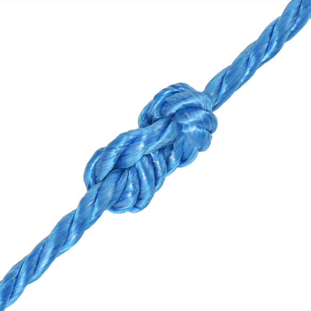 vidaXL Twisted Rope Polypropylene 10 mm 100 m Blue