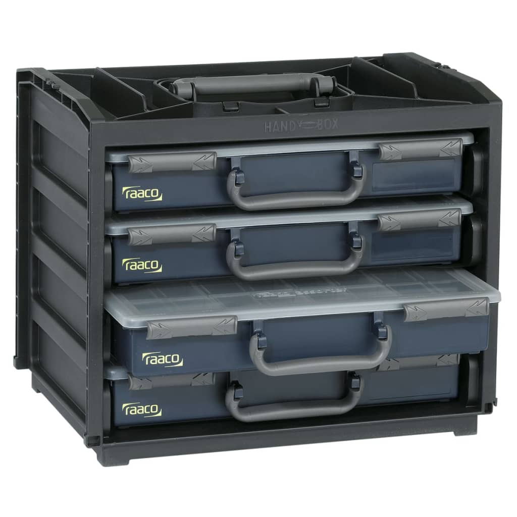 Raaco Assortment Box Handy Box with 55x4 Assorters 136242