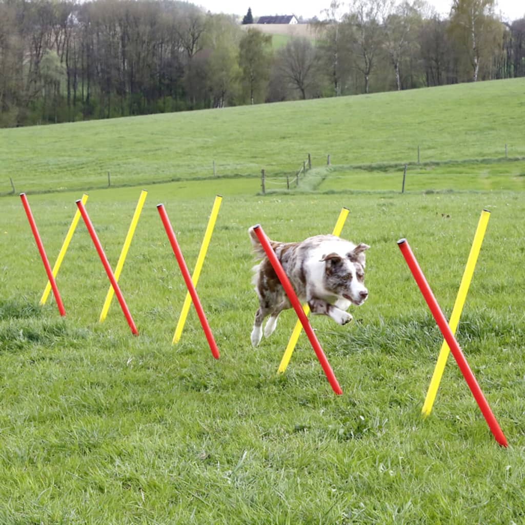 Kerbl Dog Agility Training Set Red 80758