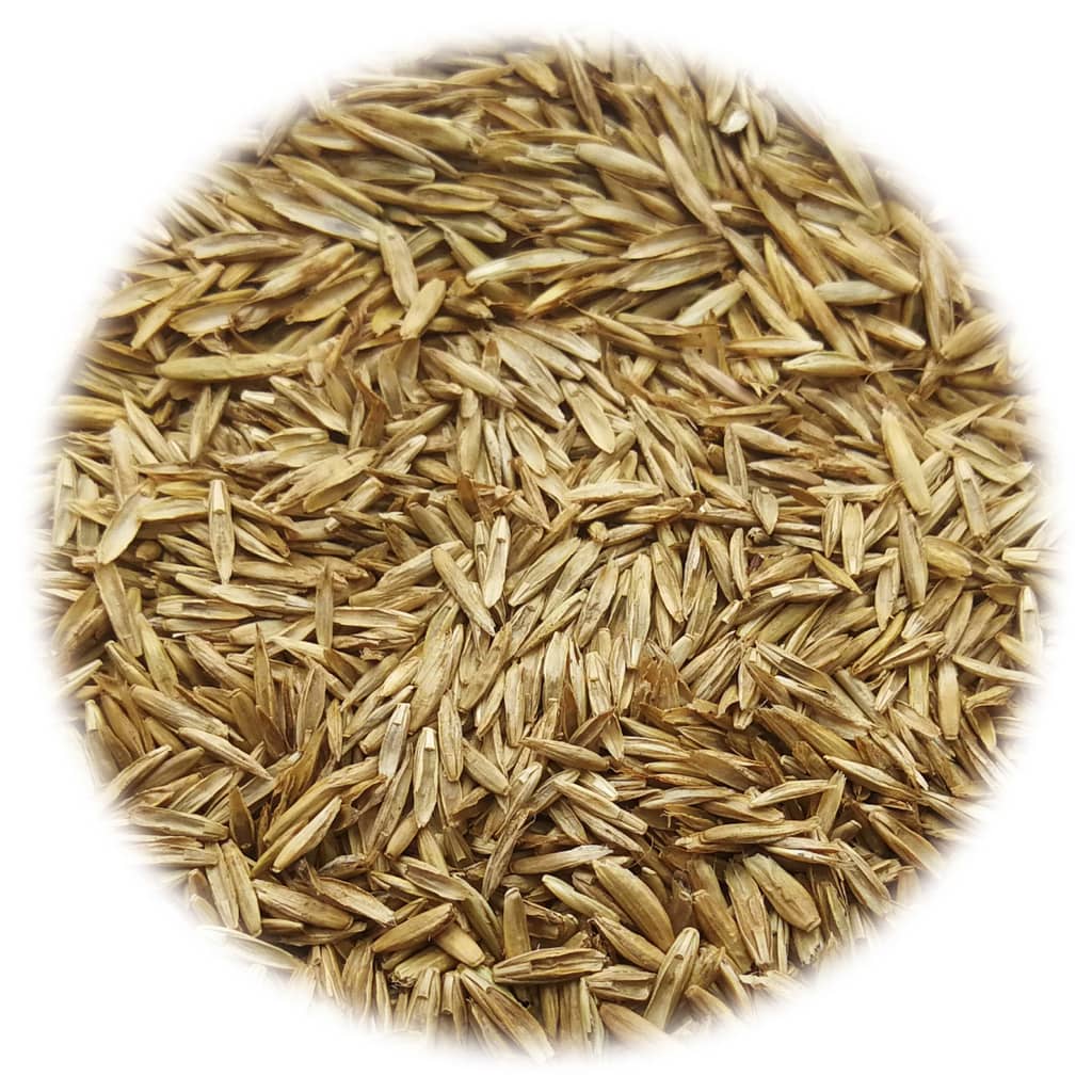 vidaXL Gazon Grass Seed 20 kg
