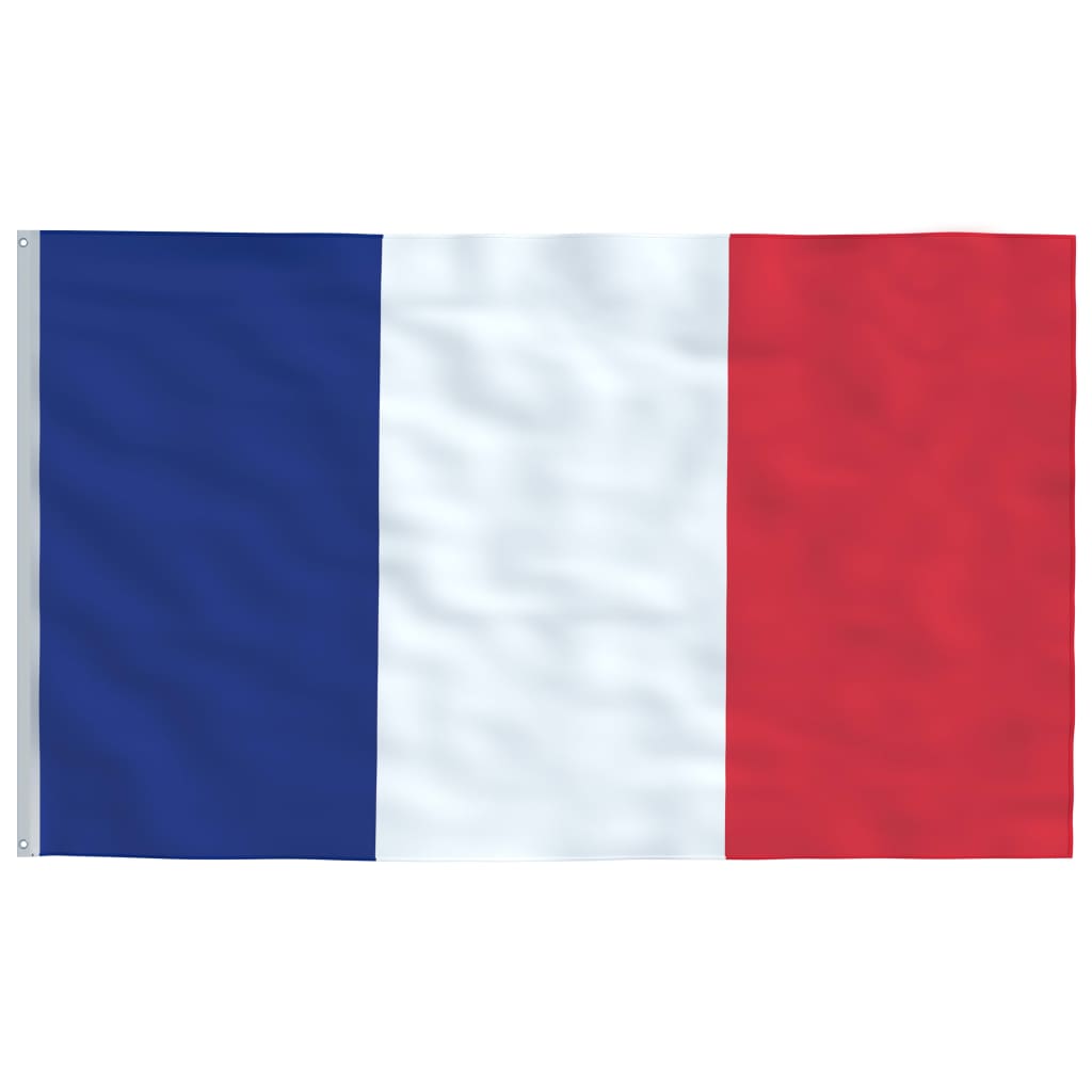 vidaXL France Flag and Pole 5.55 m Aluminium
