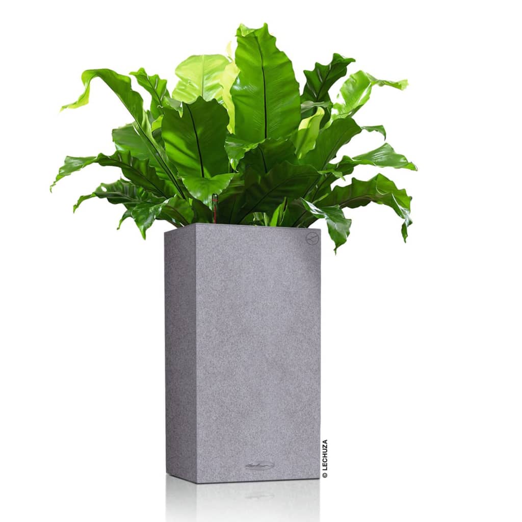 LECHUZA Planter CANTO Stone 30 High ALL-IN-ONE Stone Grey