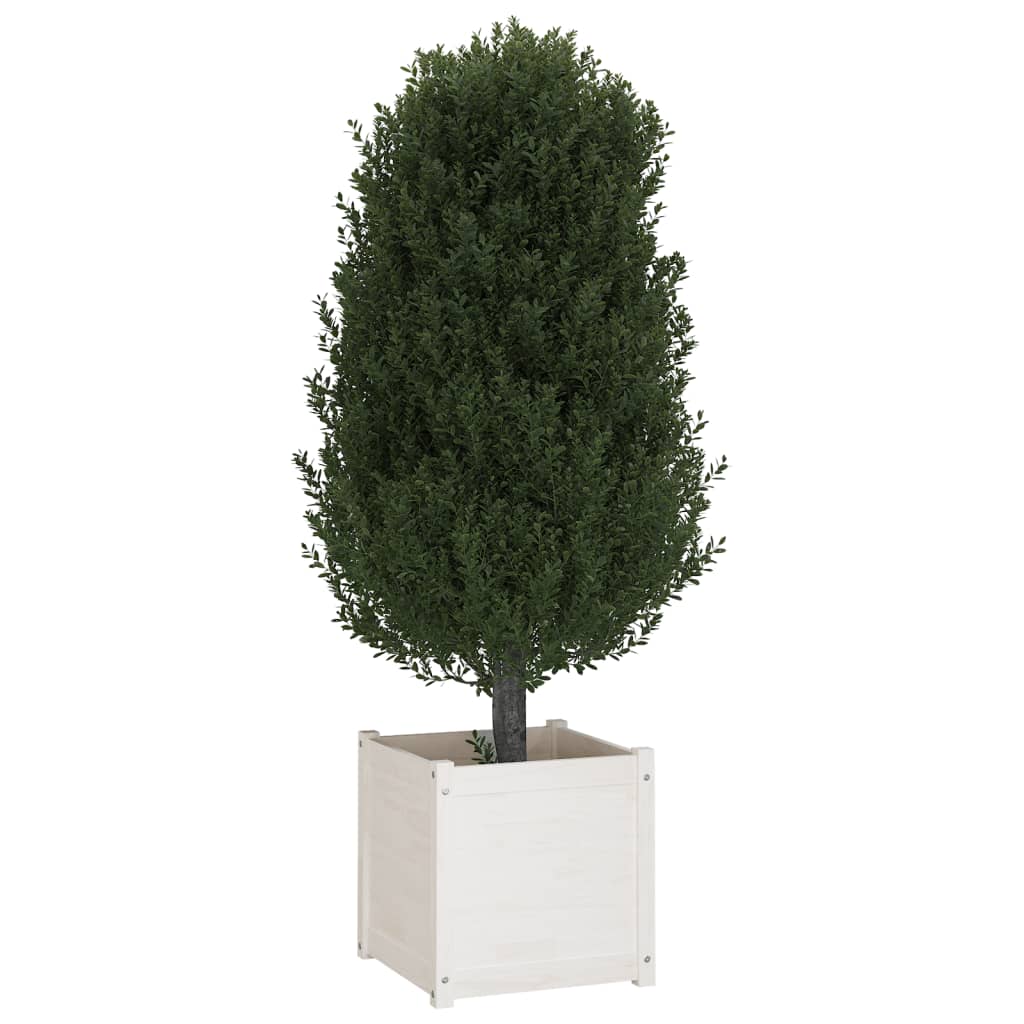 vidaXL Garden Planters 2 pcs White 50x50x50 cm Solid Pinewood