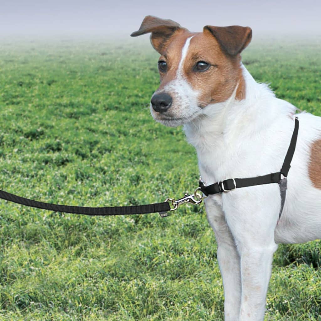 PetSafe Dog Harness Easy Walk S Black