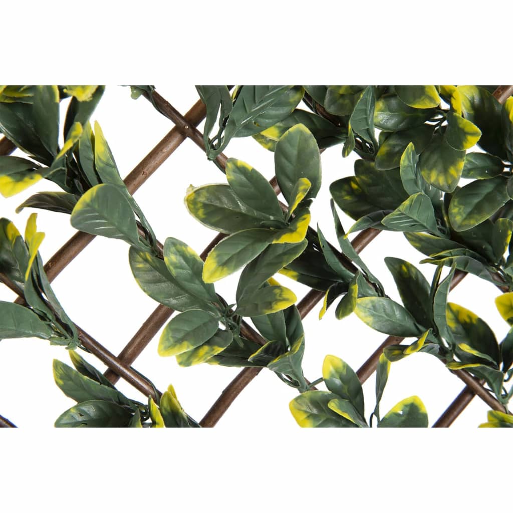 Nature Garden Trellis with California Privet 90x180 cm Green and Yellow Leaves