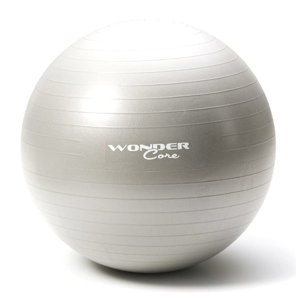 Wonder Core Anti-Burst Gym Ball 75 cm Grey