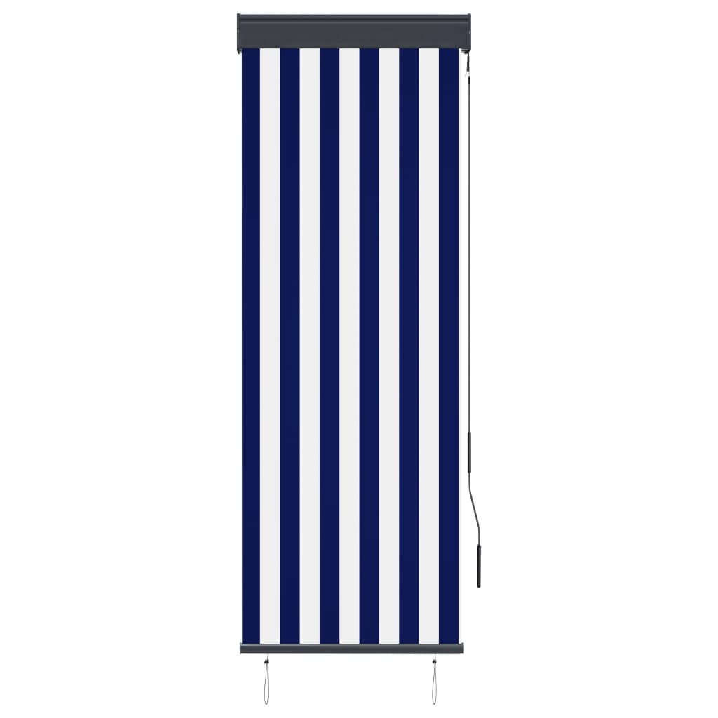 vidaXL Outdoor Roller Blind 60x250 cm Blue and White