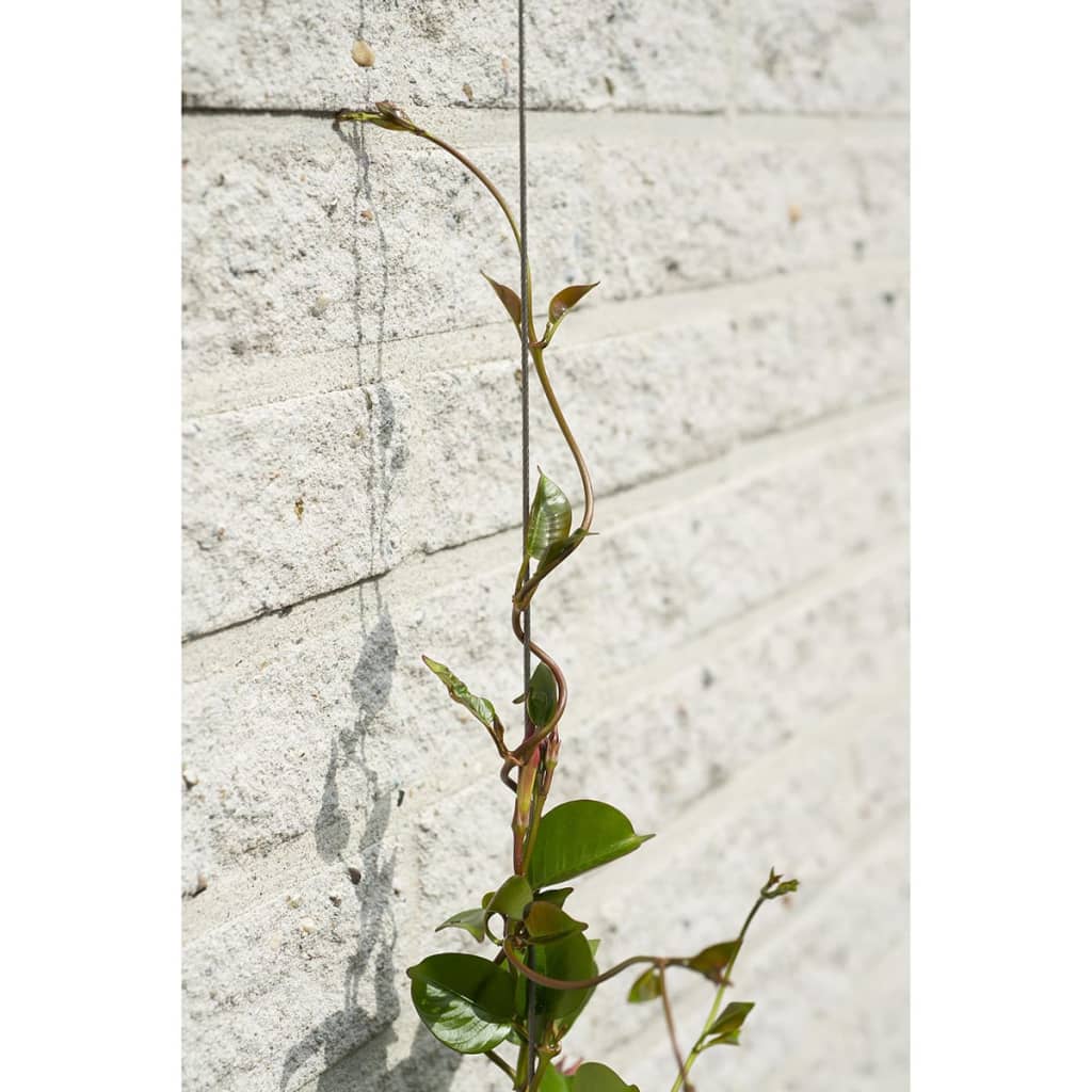 Nature Wire Trellis Sets for Climbing Plants 2 pcs