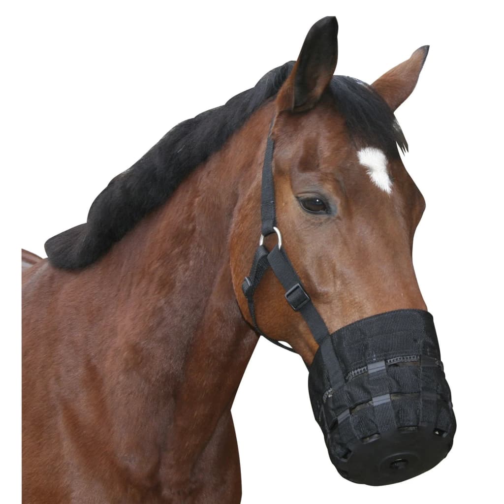 Covalliero Horse Muzzle Shetty Black
