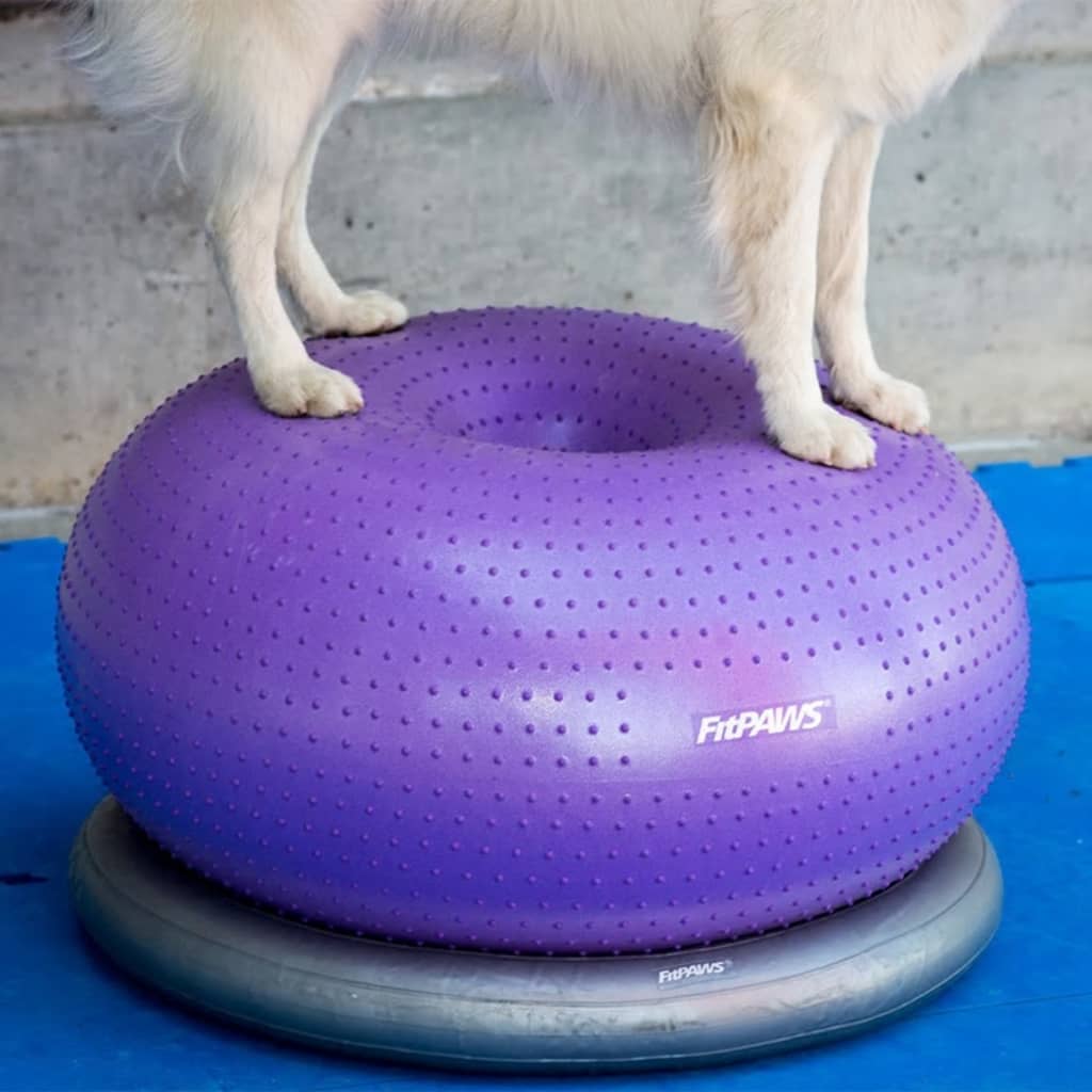 FitPAWS Pet Balance Ball TRAX Donut 55 cm Purple