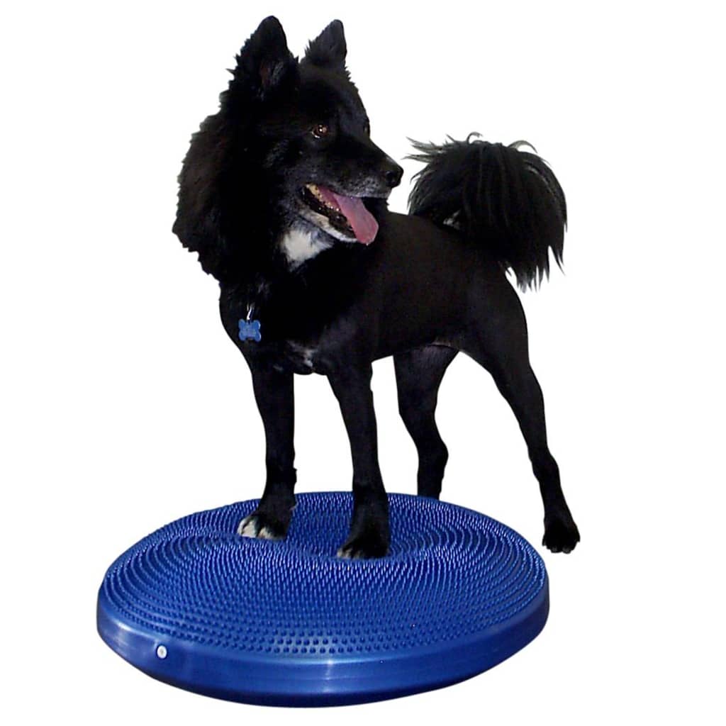 FitPAWS Pet Balance Disc 56 cm Blue