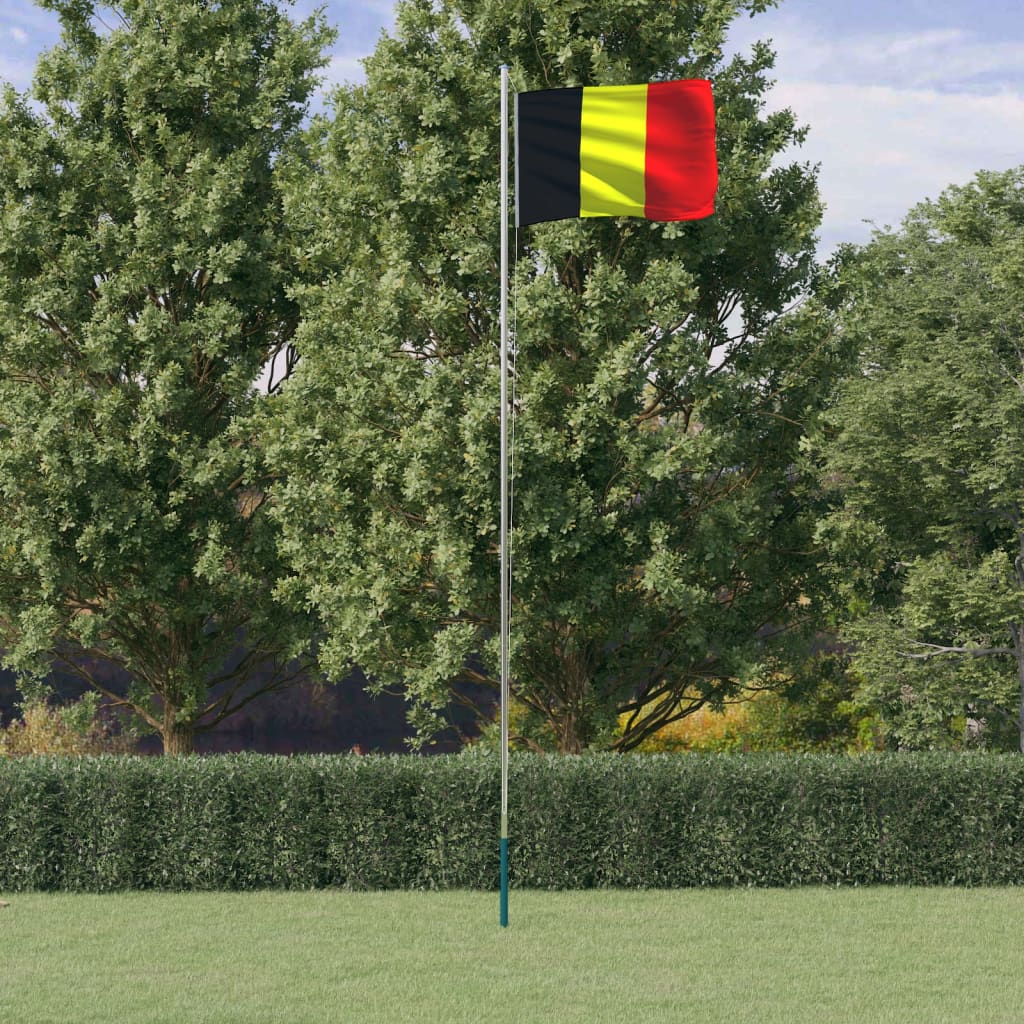 vidaXL Belgium Flag and Pole 6.23 m Aluminium