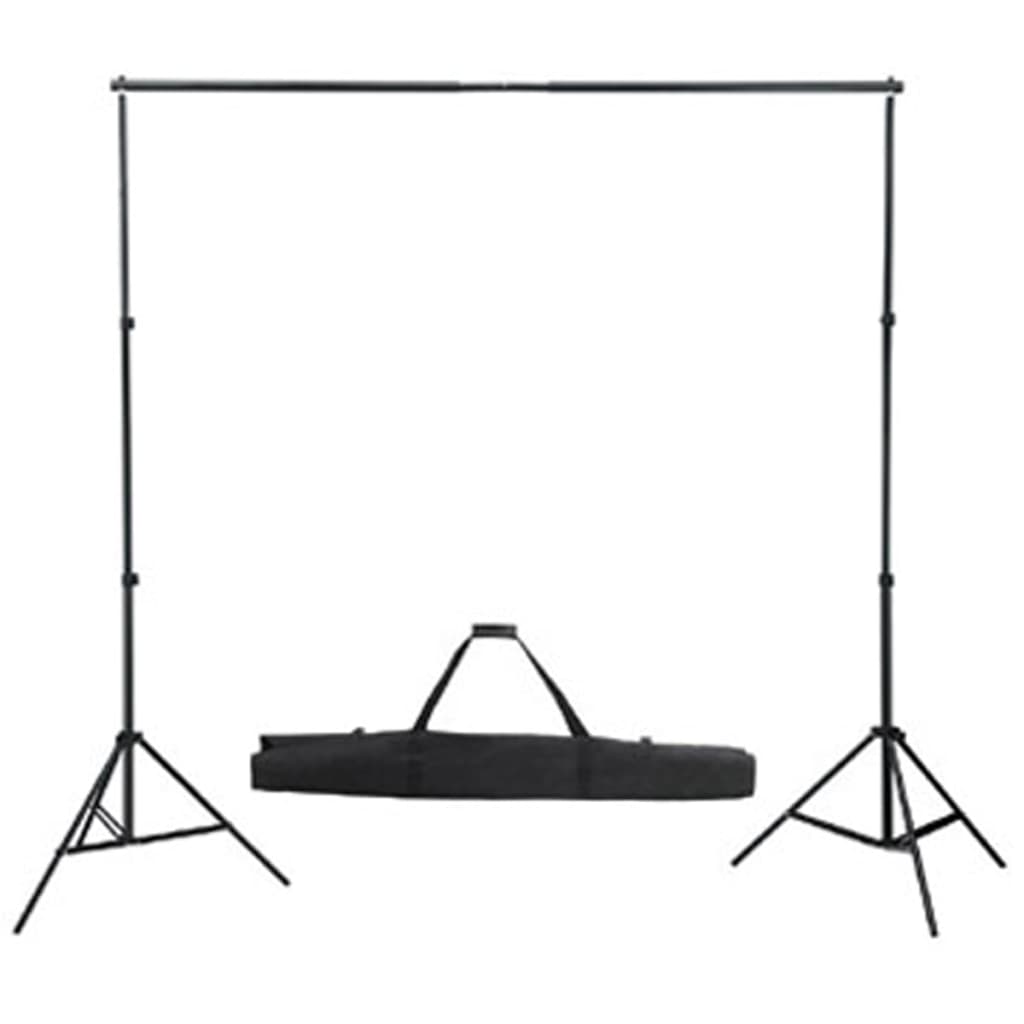 vidaXL Studio Kit Black Backdrop 600x300 cm & Lights