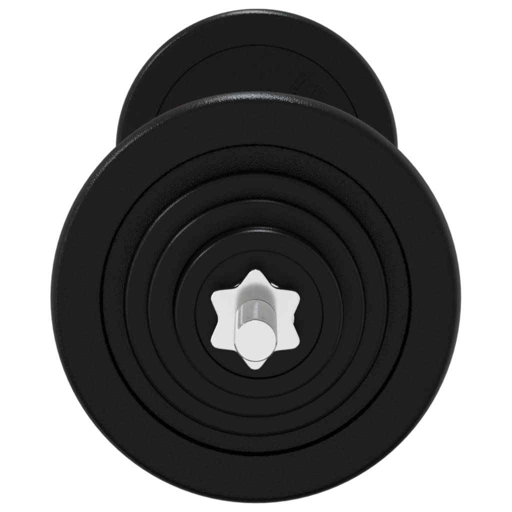 vidaXL Barbell with Plates 60 kg Cast Iron & Chrome Plated Steel