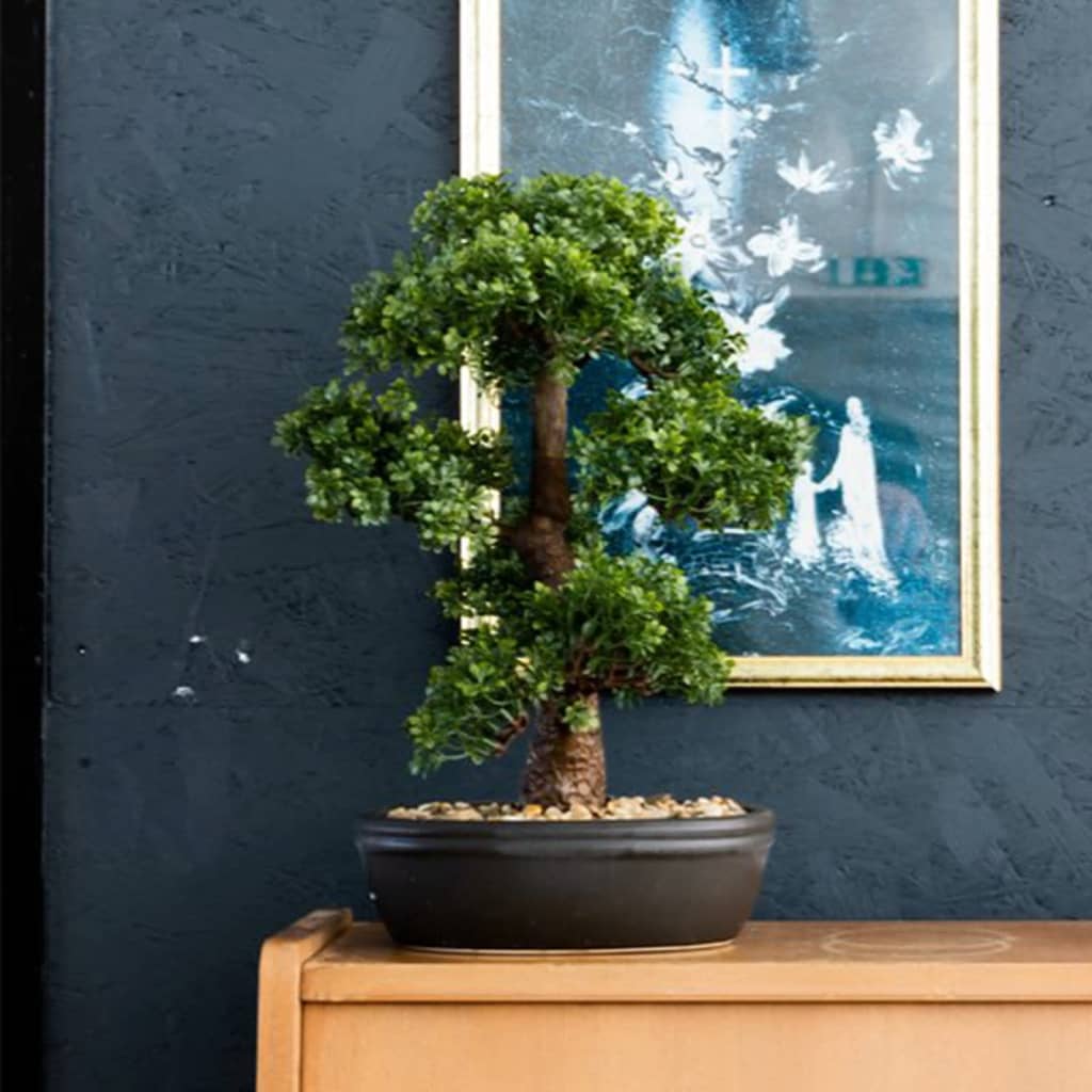 Emerald Artificial Ficus Mini Bonsai on Brown Plate 43 cm